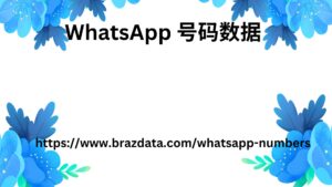 WhatsApp 号码数据