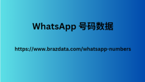 WhatsApp 号码数据